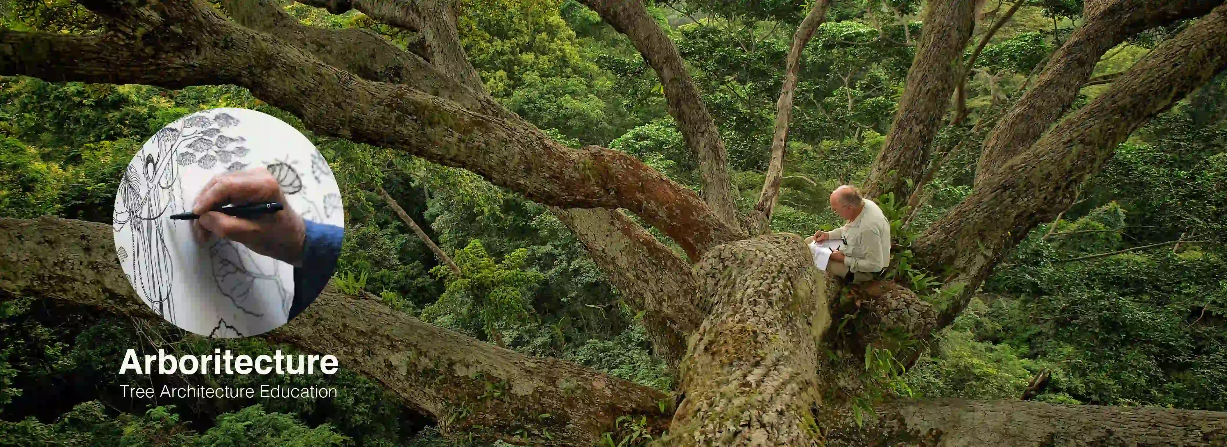 Header Banner